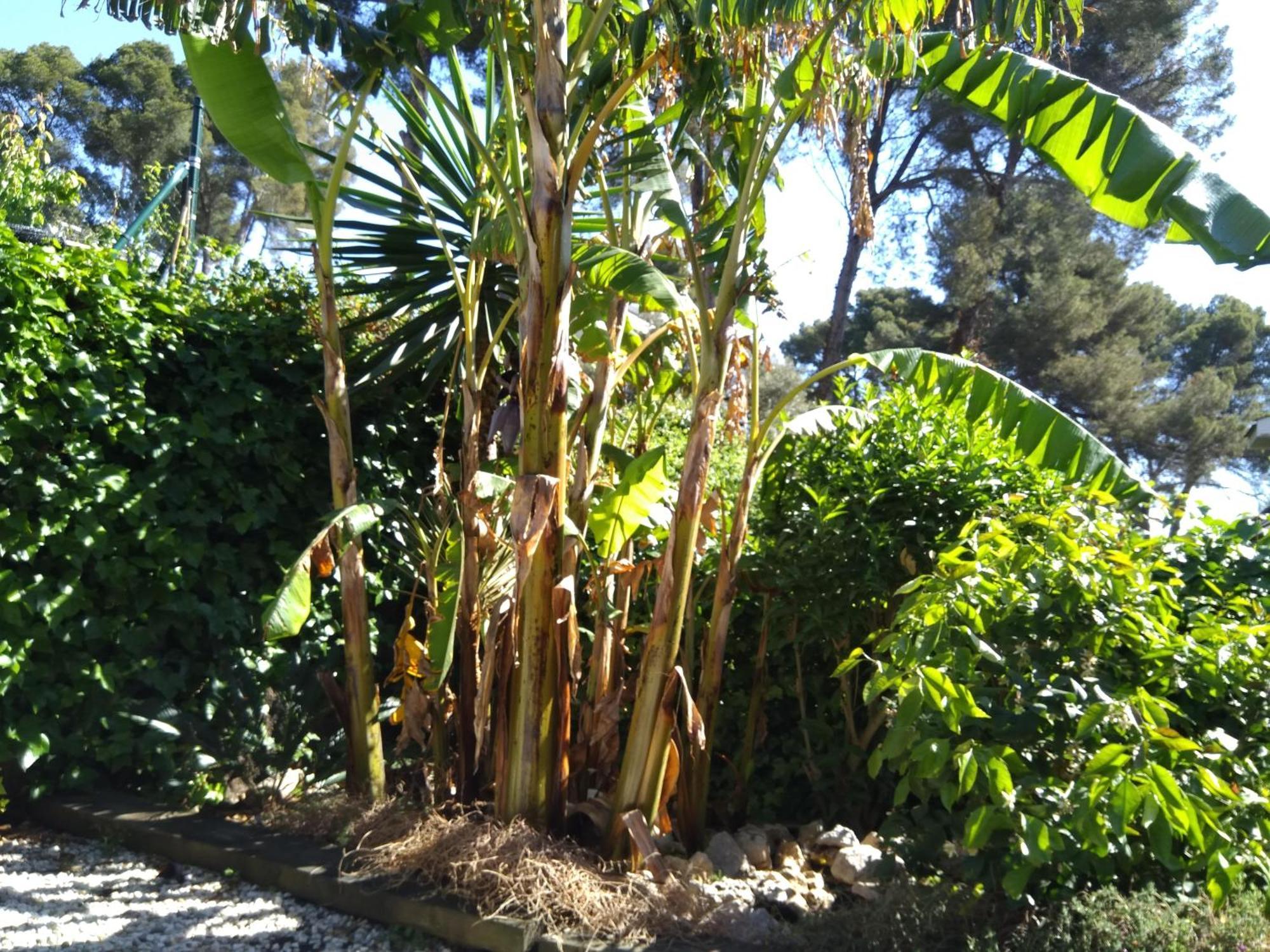 Villa Del Bosque Castelldefels Kültér fotó